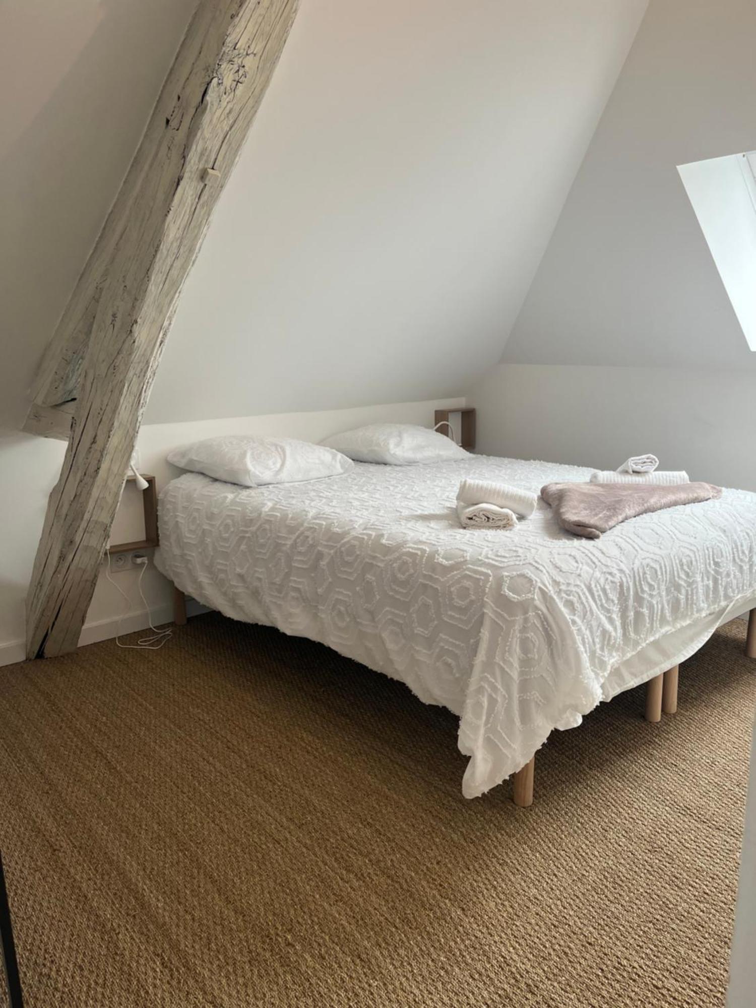 Sejour De Charme Au Boheme Lägenhet Amboise Exteriör bild